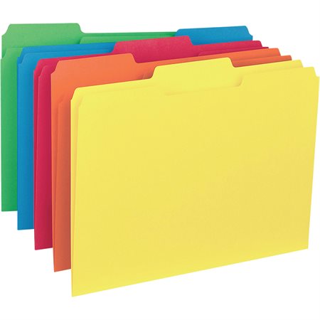 Interior File Folders Letter size assorted colours