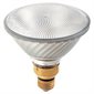 Halogen PAR38 Bulb 80W 1600 lumens