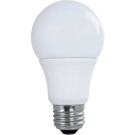 LED Bulbs