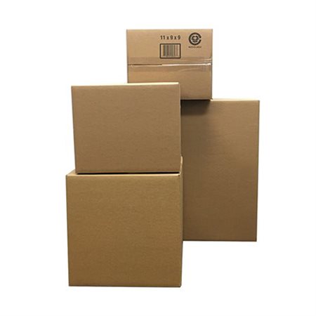 Shipping Case 11 3 / 4 x 8 3 / 4 x 4 3 / 4 in