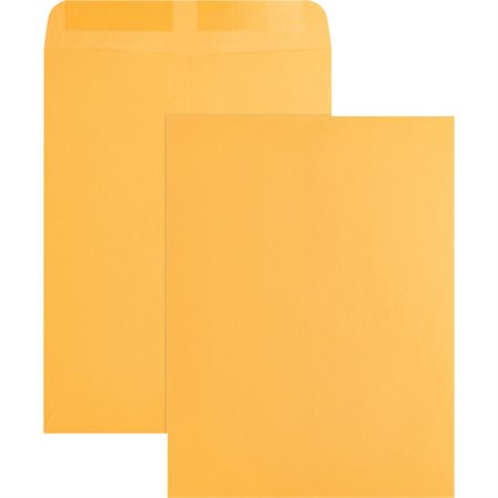 Catalogue Envelope Kraft. 28 lb. Box of 250. 9 x 12 in.