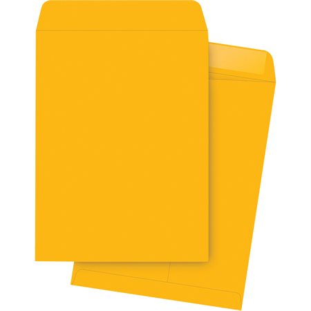 Catalogue Envelope Kraft. 28 lb. Box of 250. 11-1 / 2 x 14-1 / 2 in.