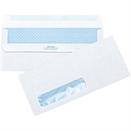 Self-Seal Envelopes with window