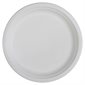 Compostable Dishes Assiettes 10 in.