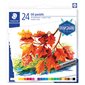 Oil Pastels pkg 24