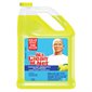 Multi-Surface Disinfectant Cleaner 3.78 L