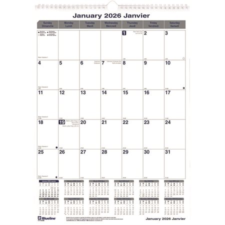 Net Zero Carbon™ Wall Calendar (2025)