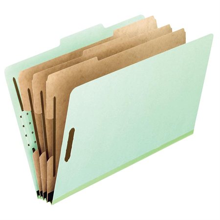 Pressboard Classification Folders 8 fasteners