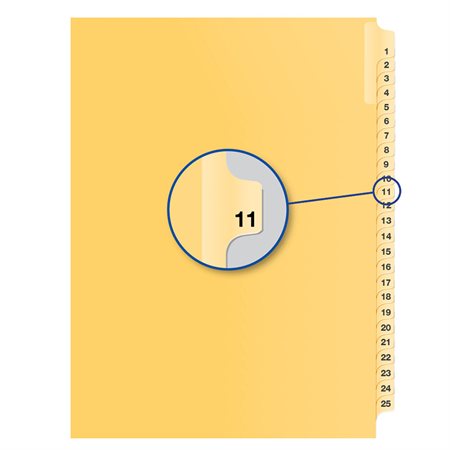 Individual Numerical Litigation Index Dividers #11