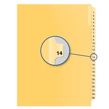 Individual Numerical Litigation Index Dividers #14