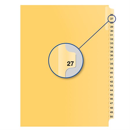 Individual Numerical Litigation Index Dividers #27