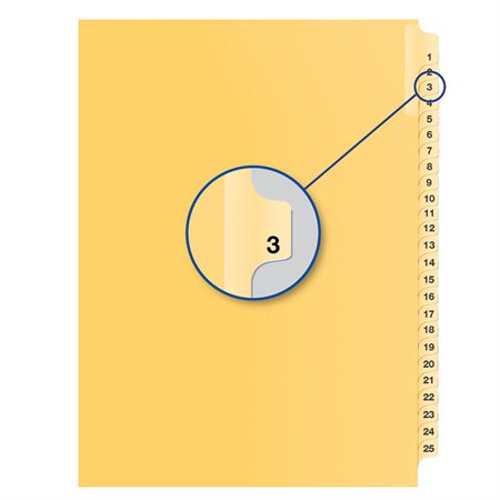 Individual Numerical Litigation Index Dividers #3