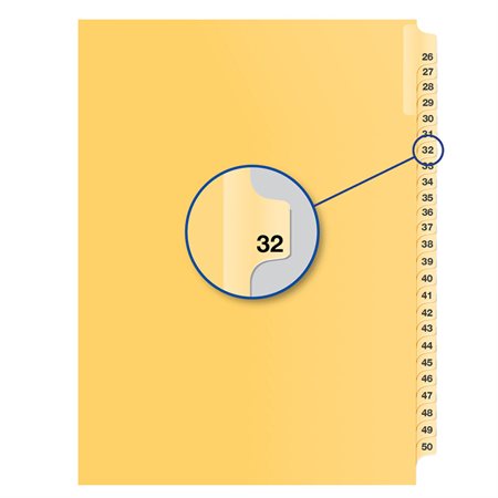 Individual Numerical Litigation Index Dividers #32