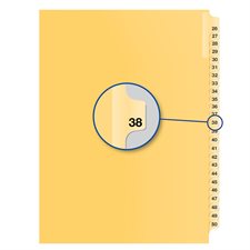 Individual Numerical Litigation Index Dividers #38