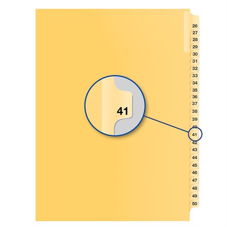 Individual Numerical Litigation Index Dividers #41