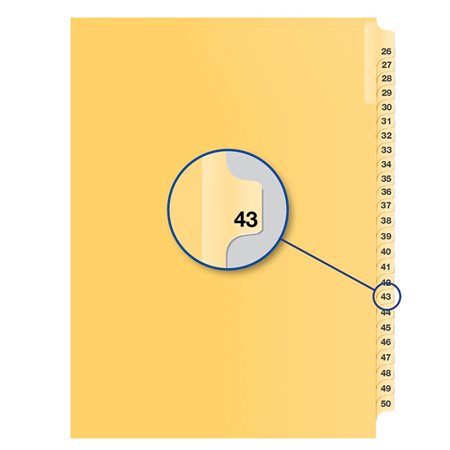 Individual Numerical Litigation Index Dividers #43