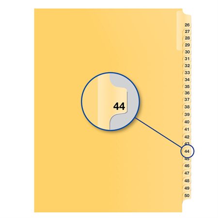 Individual Numerical Litigation Index Dividers #44