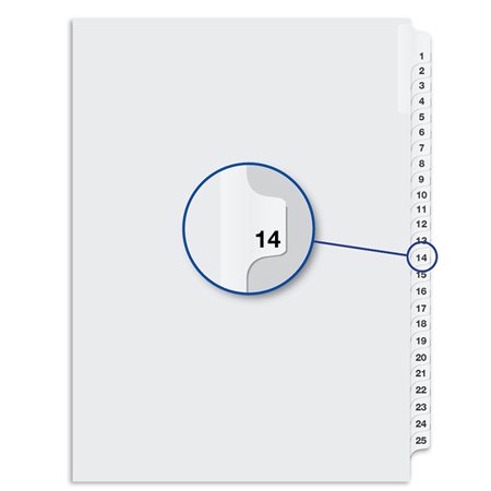 Quest Numerical Litigation Index Dividers 13 to 25 #14