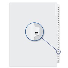 Quest Numerical Litigation Index Dividers 13 to 25 #21