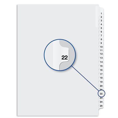 Quest Numerical Litigation Index Dividers 13 to 25 #22