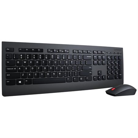 Professional Wireless Keyboard and Mouse Combo