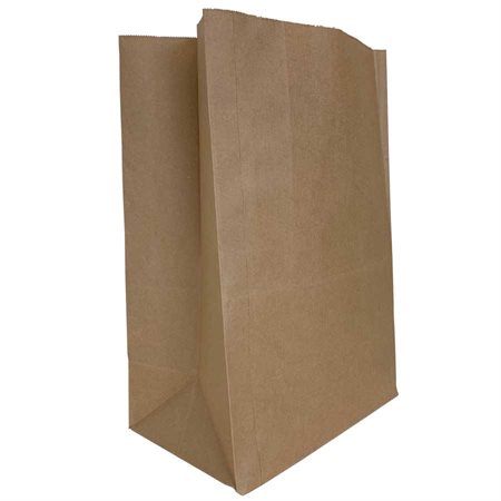 Paper Bags