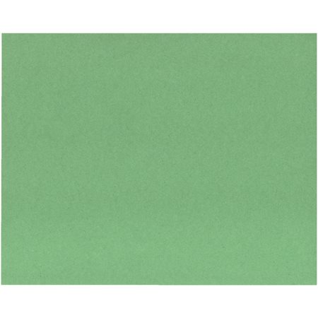 Colour cardstock light green