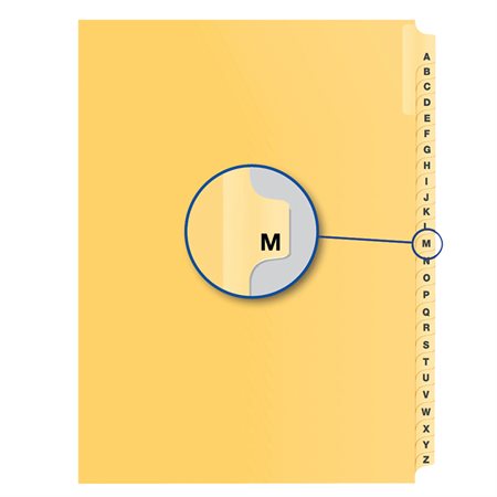 Alphabetical Litigation Index Dividers M