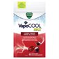 Pastilles VapoCOOL Max