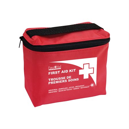 Federal Type D First Aid Kit In a nylon bag