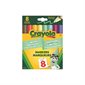 Crayola Limited Edition Markers