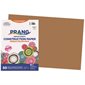 Construction Paper 12 x 18 in (package of 25) light brown