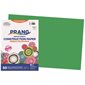 Papier de construction 12 x 18 po (paquet de 25) vert