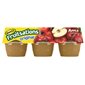 Fruitsations pomme originale