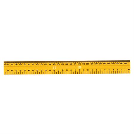 INTERMEDIATE RULER 30 CM