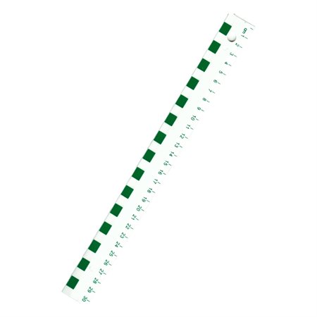 JUNIOR METRIC RULER 30 CM