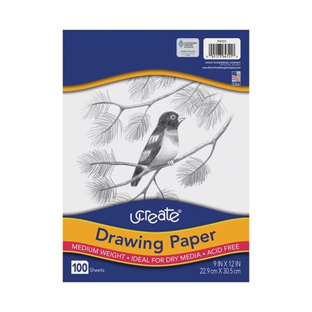 WHITE MEDIUM WEIGHT DRAW.PAD  9X12