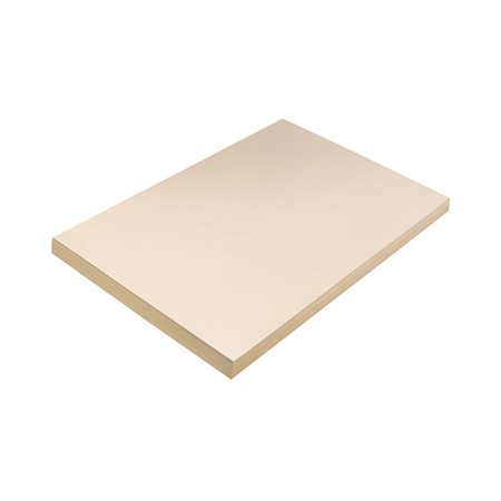 MANILA TAG 250M12" X 18" (100)
