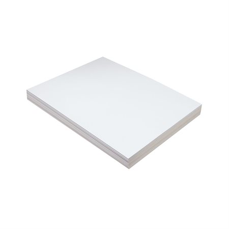 PACON 5281 WHITE TAG 250M9" X 12" (100)