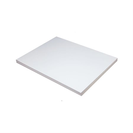 PACON 5290 WHITE TAG 250M18" X 24" (100)