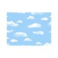 FADELESS PAPER ROLLS CLOUDS48"X50'