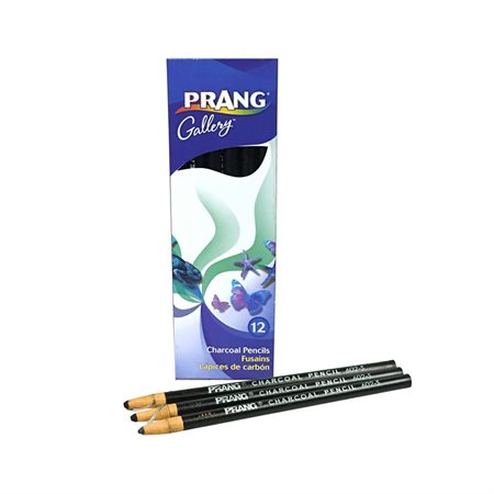 CHARCOAL PENCILPAPER WRAPPED (12)