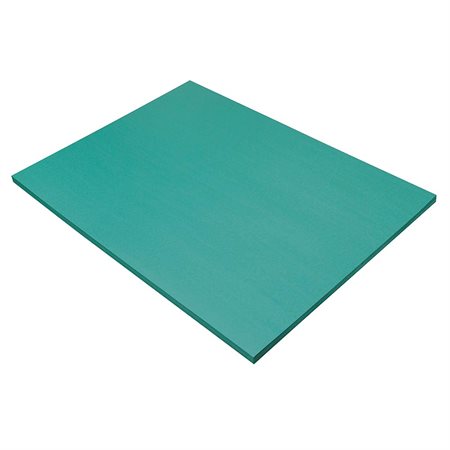TURQ.CONSTRUCTION PAPER18" X 24" (50)