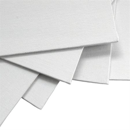 SCHOOL SOURCE CANVAS BOARD 9 X 12