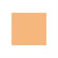 PEACH TISSUE PAPER20"X30" (24)