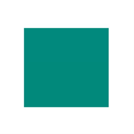 TEAL TISSUE PAPER20"X30" (24)