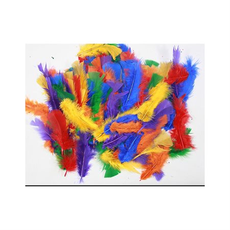 FEATHERS ASSORTED COLOURS1 OZ.