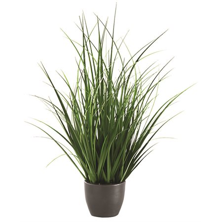 PLANTE ART.GAZON INTERIEUR POT