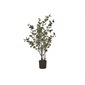 Artificial Eucalyptus in Black Pot
