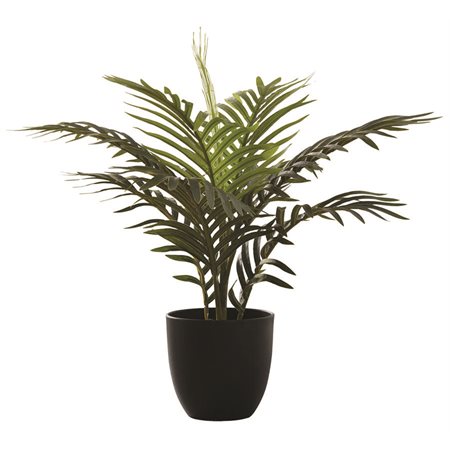 PLANTE ART.PALMIER INTERIEUR